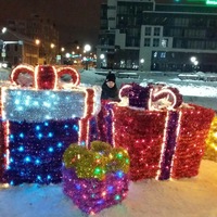 Илья Дегтярев | Грязи