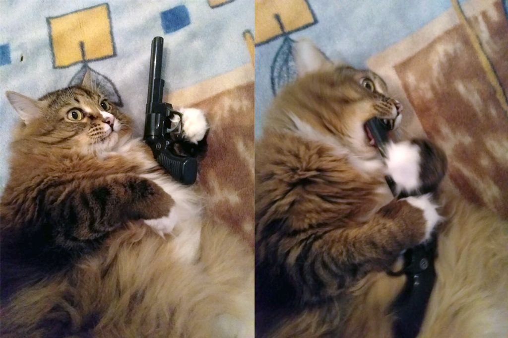 lAiIP6USsoE.jpg