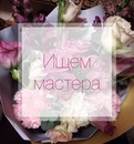 Объявление от Anastasia - фото №1