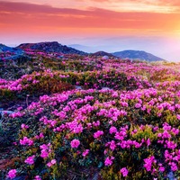 Александр Иванович | Красноярск