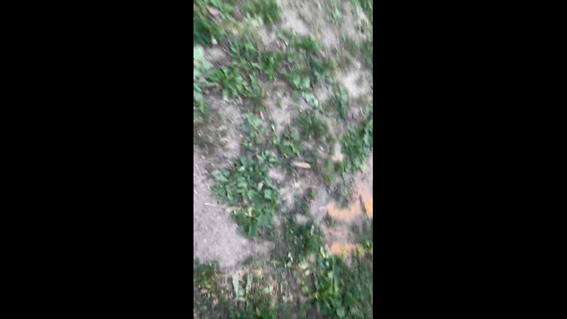 псих под горкой