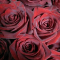 Галина Неклеса