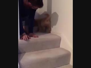 Я понял как надо