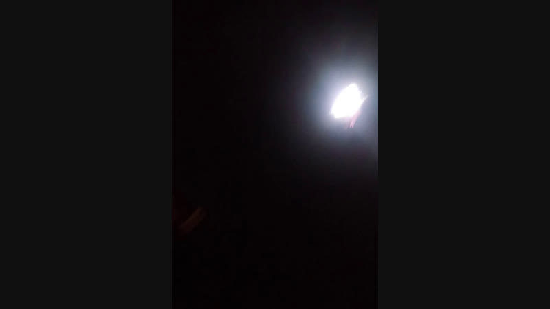 Live ЛТ ПИСОСЫ