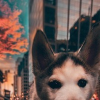 Владислав Царёв | Москва