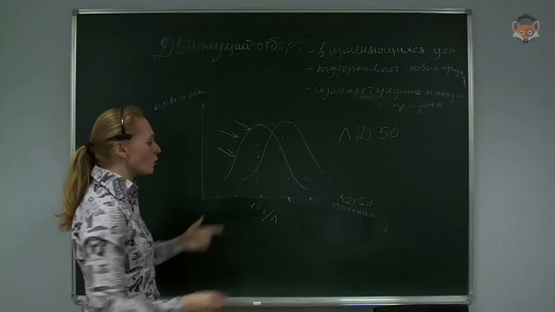 Занятие 2. Эволюционное учение