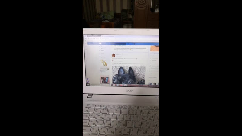 Итоги конкурса на стикеры🐶