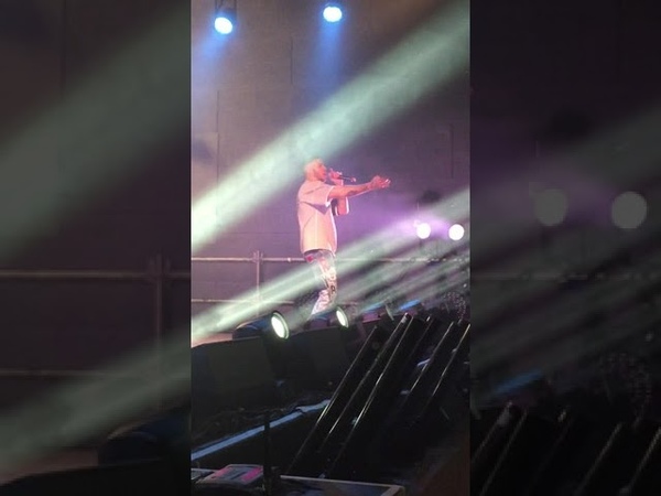 FREESTYLE