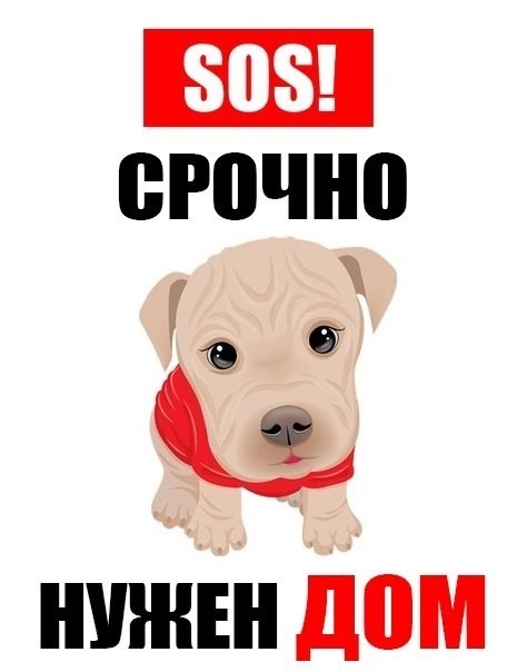Отличному парню, картинки с надписью нужен дом
