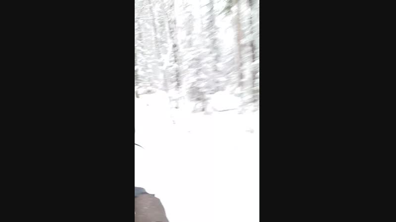 Волчиха