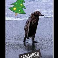 Татьяна Ветошкина | 