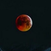 Даниил Халимов | Новогорный