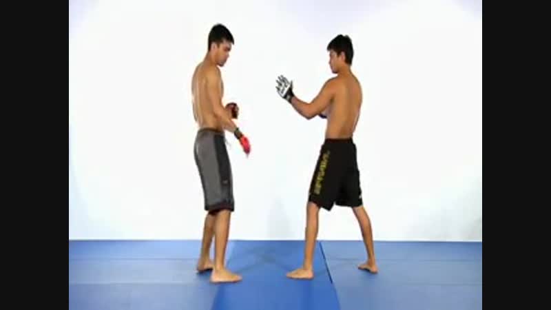 Machida Karate for MMA Volume 2