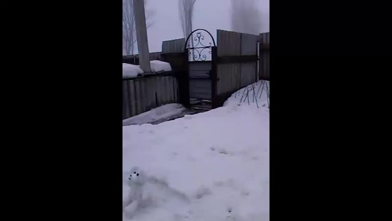 Мишка косолапый вылез из берлоги