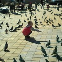 Елена Евстегнеева | 