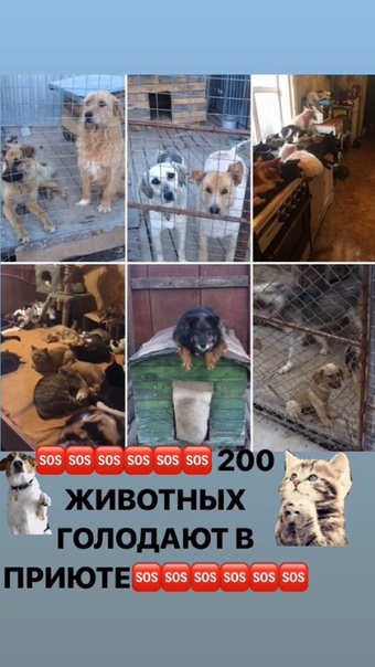 На сегодняшний день в «ЧАСТНОМ ДОМЕ ПОМОЩИ»проживают 200живо