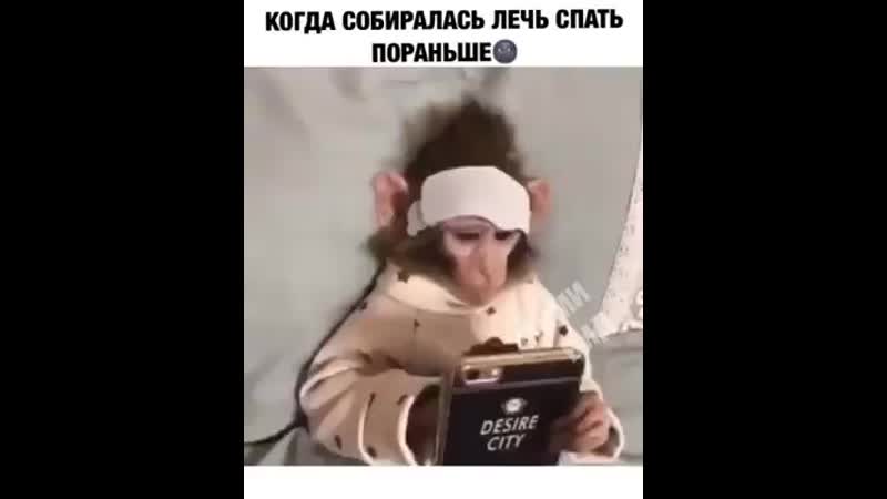 Когда собралась лечь спать пораньше