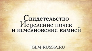 Свидетельство №28. Исцеление почек и исчезновение камней