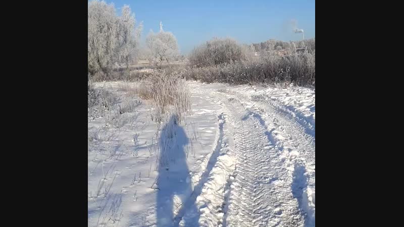 VID_129120305_111704_031.mp4
