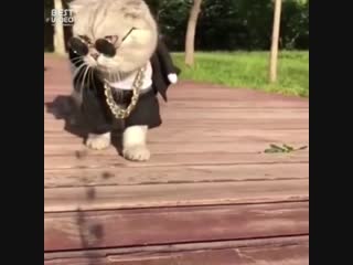 Ты никогда не будешь так крут!