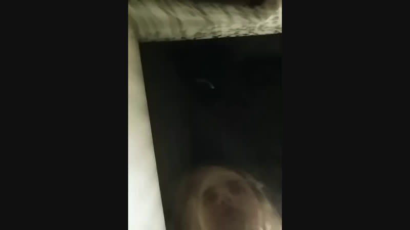 ну вмеее
