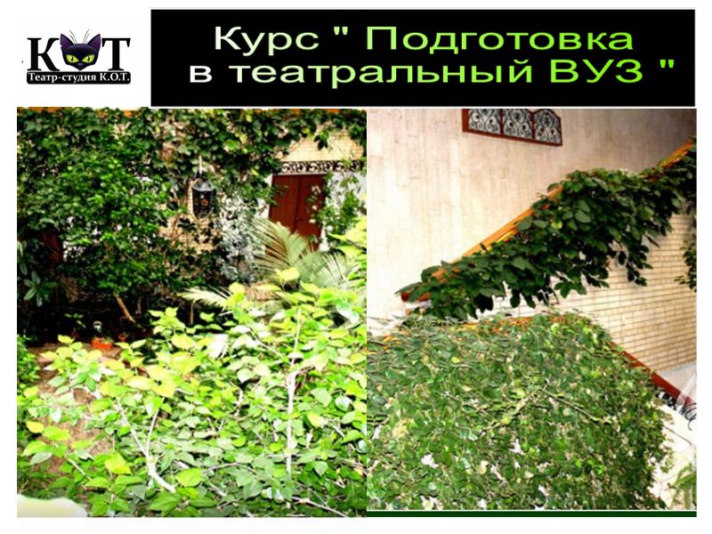 Подготовка в театральный ВУЗ, репетиторство Подготовка в театральный ВУЗ