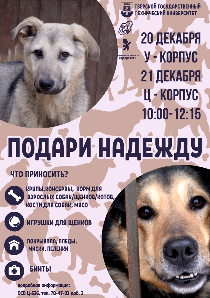 Подари надежду брянск