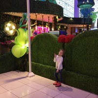 Ольга Бунакова |