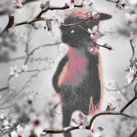 Настя Мотовилова