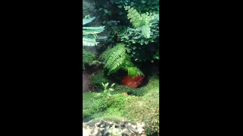 20190404_130914.mp4