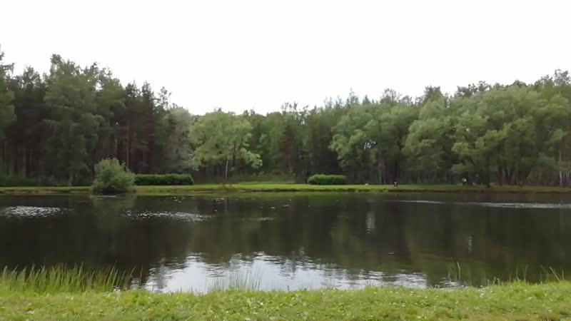 Сосновке 9 июня