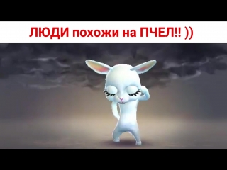 Некоторые ЛЮДИ похожи на ПЧЕЛ! )) Шутки от Зайки Zoobe.
