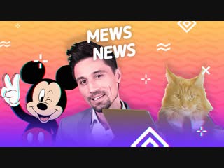 Mews News: День мяутери
