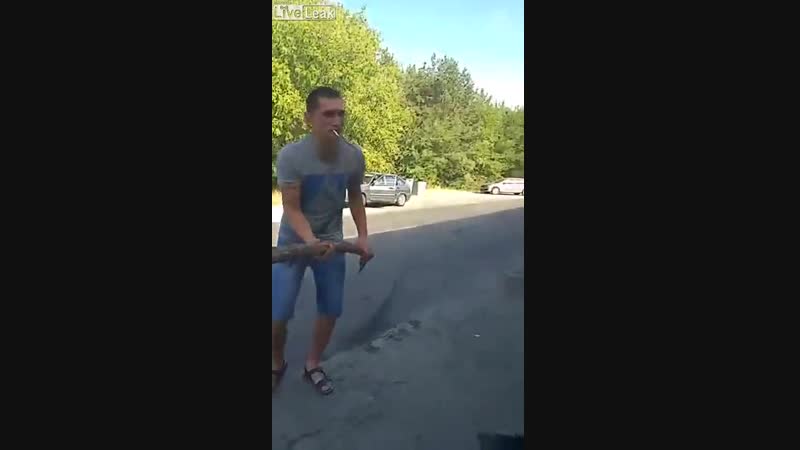 Горячая Собака