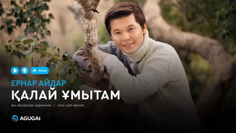 насиба