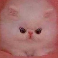 Ангелина Котова | Уфа