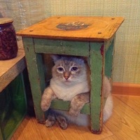 Игорь Калинский