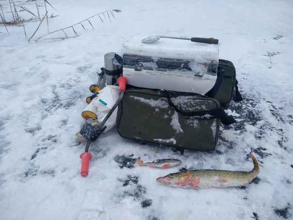 Рыбалка — водохранилище Сестрорецкий Разлив, Санкт-Петербург, 60.092, 29.991