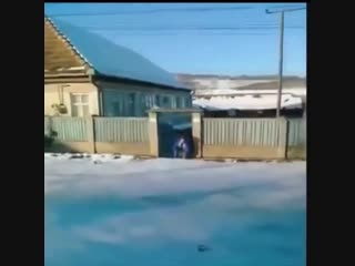 Ярик водила