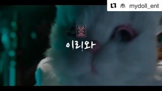 신동 on Instagram: “내가 찍은거 또 나왓따잇! 신인걸그룹 이에여~ 다들 응원 많이 해주