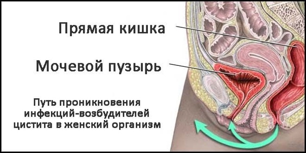 очень полезное сообщение на японок кончают в прямом эфире мысль великолепна