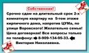 Объявление от Светлана - фото №1