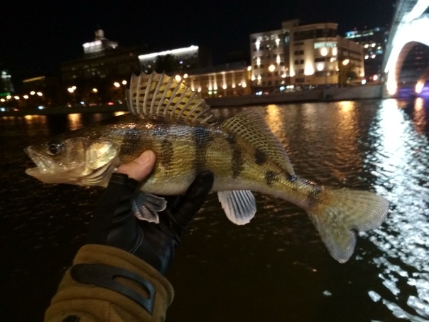 Рыбалка — Яуза, Москва, 55.748, 37.640