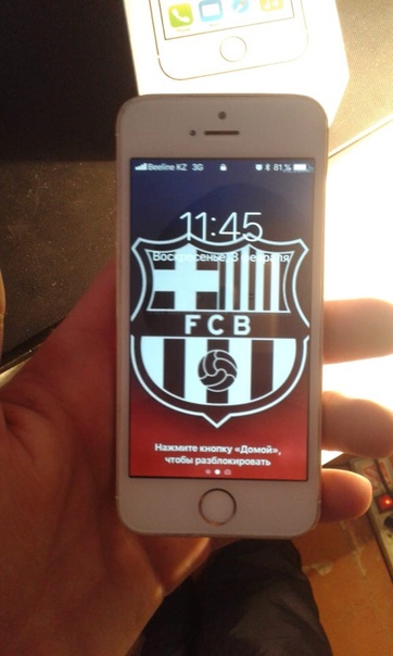 Apple iPhone 5s