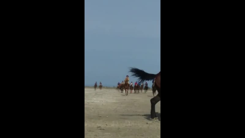 Төмен арық Көкпар