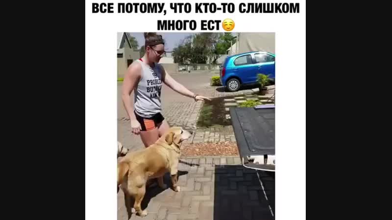 Толстячки😂