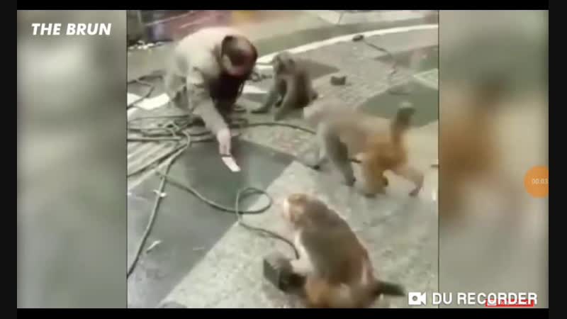 20190215_170618.mp4
