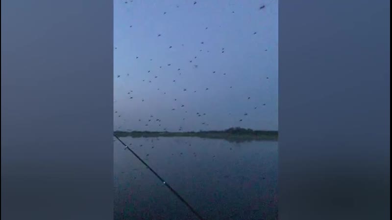 рыбалка паша