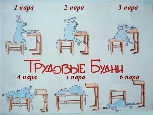Картинки студентам прикольные
