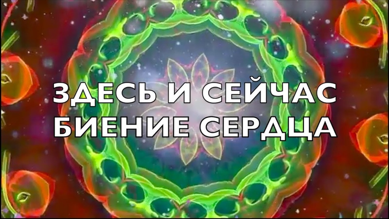 Здесь и сейчас биение Сердца
